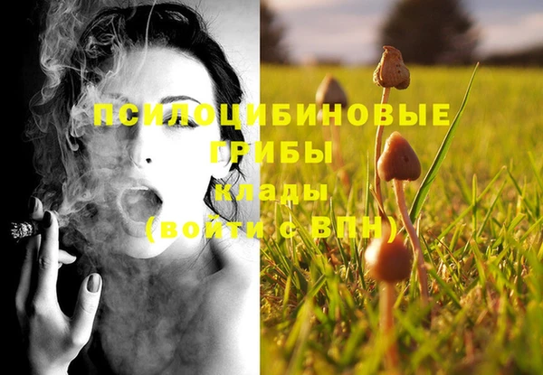 индика Абаза
