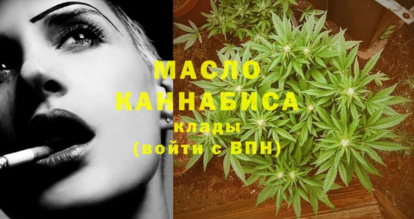 индика Абаза