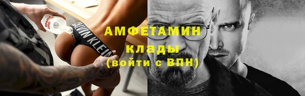 индика Абаза