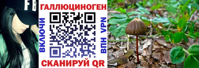 blacksprut tor Тотьма Псилоцибиновые грибы MAGIC MUSHROOMS